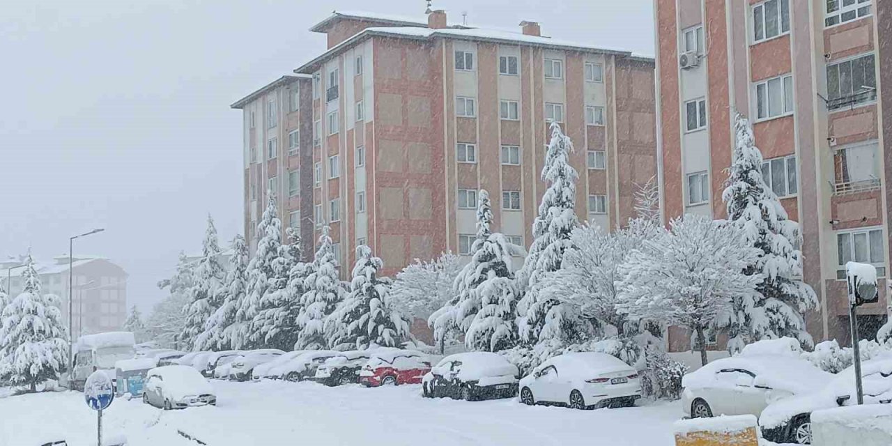 Van’da karla gelen güzellik