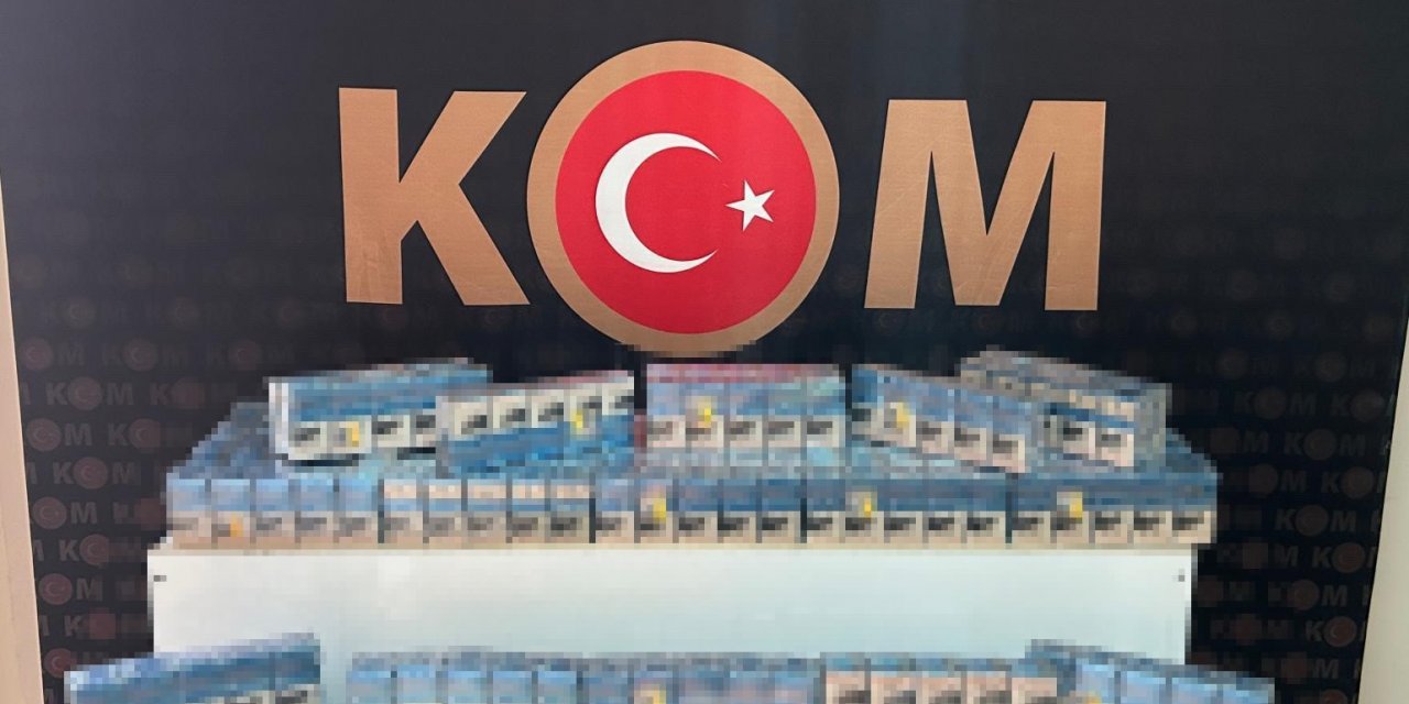 Van’da gümrük kaçakçılığı operasyonu