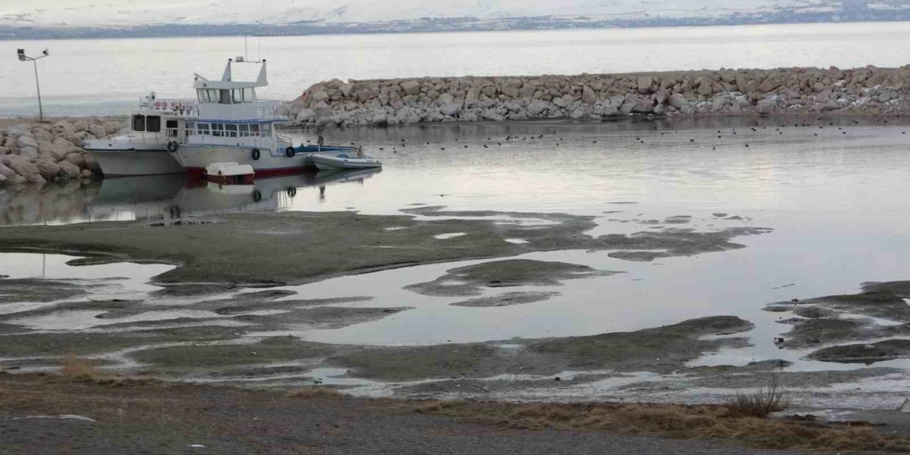 Prof. Dr. Alaeddinoğlu: “Yağışların Van Gölü’ne yansıması geç olacak”