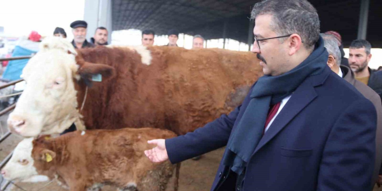 Şap hastalığından dolayı kapalı olan Iğdır Hayvan Borsası yeniden kullanıma açıldı