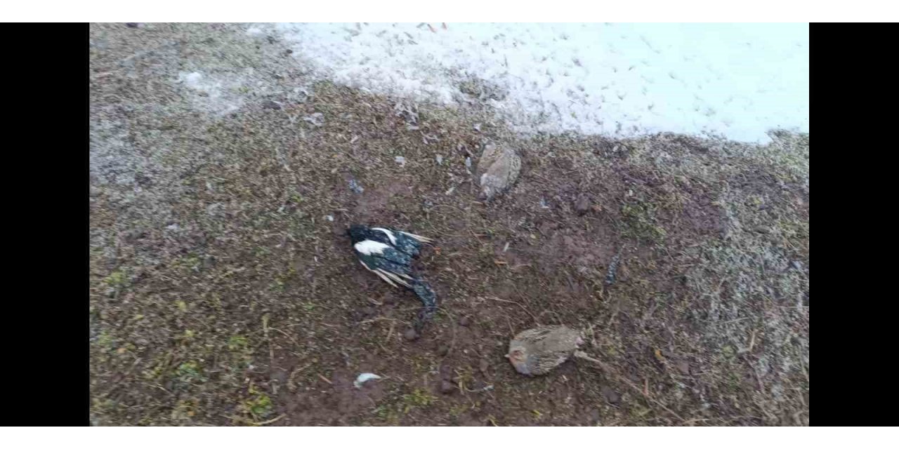 Muş’ta 2 kişiye 63 bin 138 TL para cezası kesildi