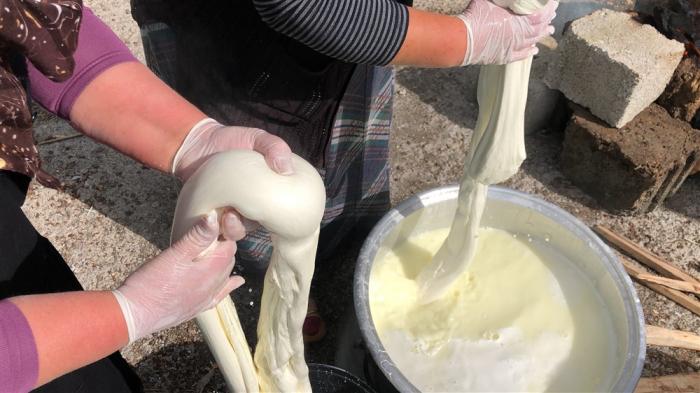 Kars’ın kaşar ve tulum peyniri üretimi