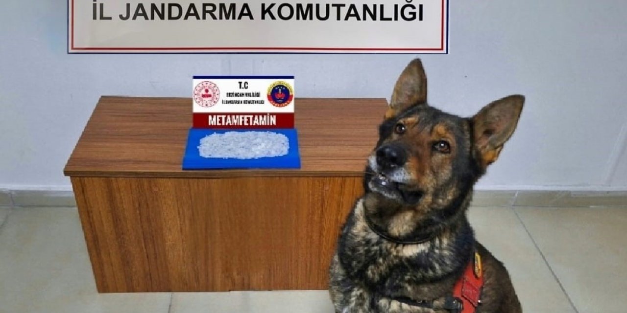 Erzincan’da jandarmadan uyuşturucu operasyonu: 1 tutuklama