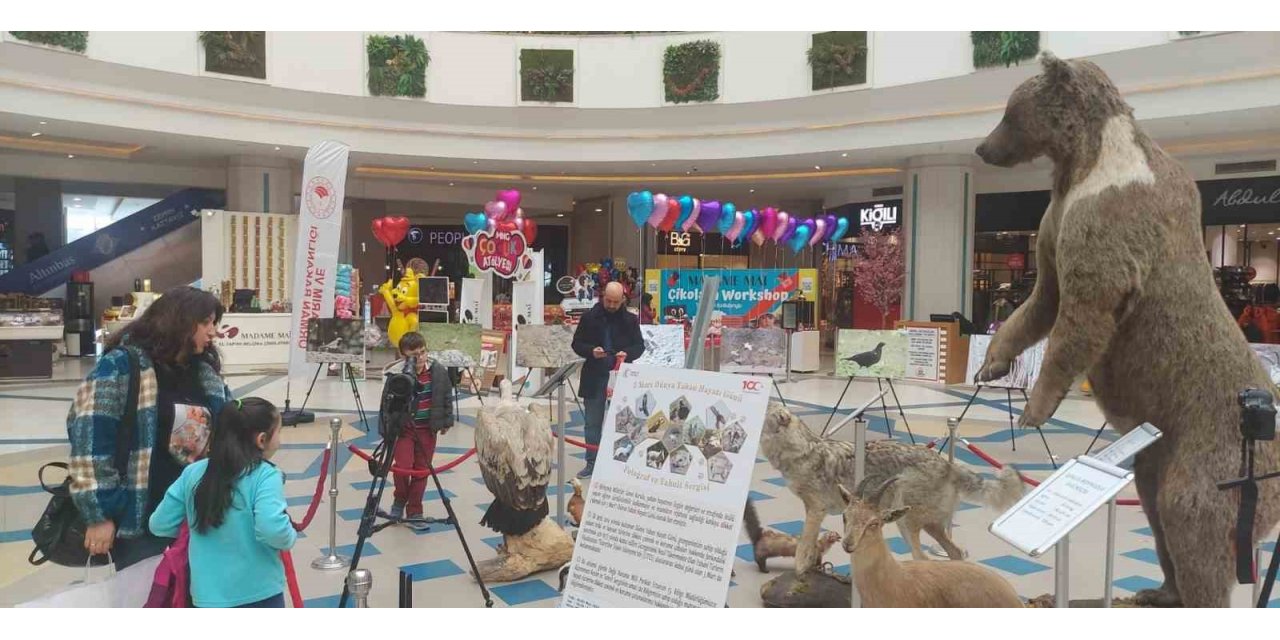 Yaban hayata sergi ile dikkat çekildi