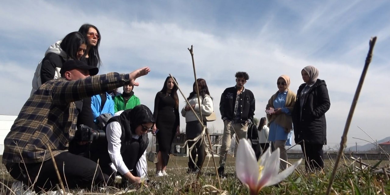 Muş’ta fotoğrafçılar kardelenlerin güzelliğini objektiflerine taşıdı