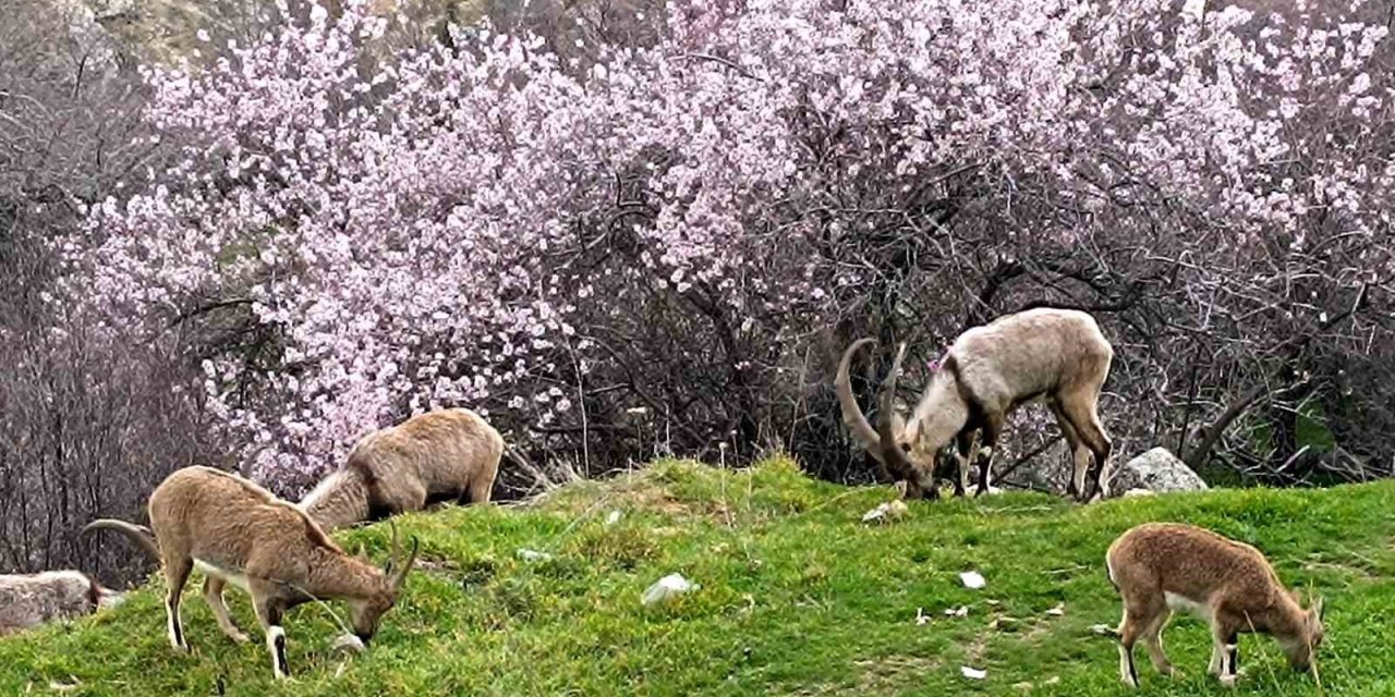 Aynı il iki farklı mevsim