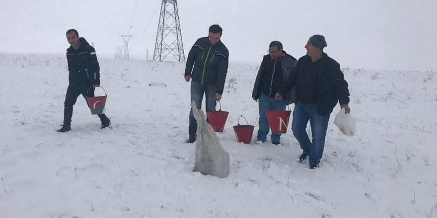 Kars’ta yaban hayvanlar için doğaya yem bırakıldı