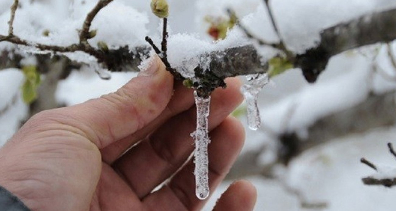 Meteoroloji Kars için don uyarısında bulundu