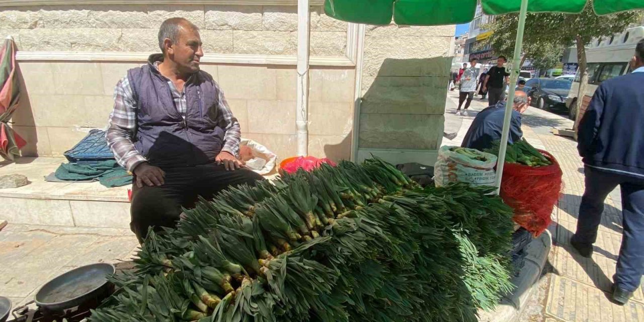 Elazığ’da çiriş otu tezgahlarda yerini aldı