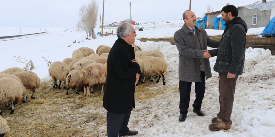 Kars'ta Genç Çiftçi projesi meyvelerini veriyor