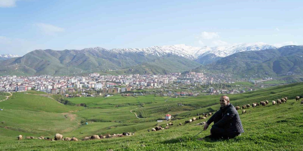 Kavalsız kaval sesi çıkarıyor