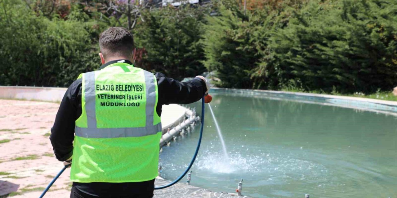 Elazığ’da larva ile mücadele çalışmaları sürüyor