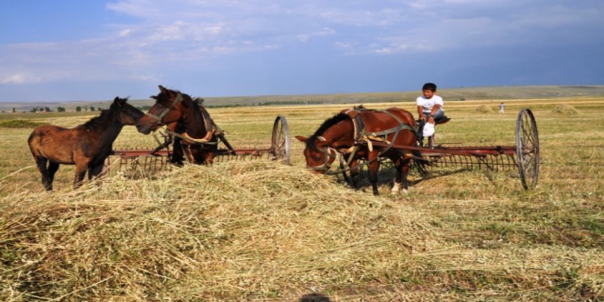 ÇKS başvuruları için son gün, 31 Aralık