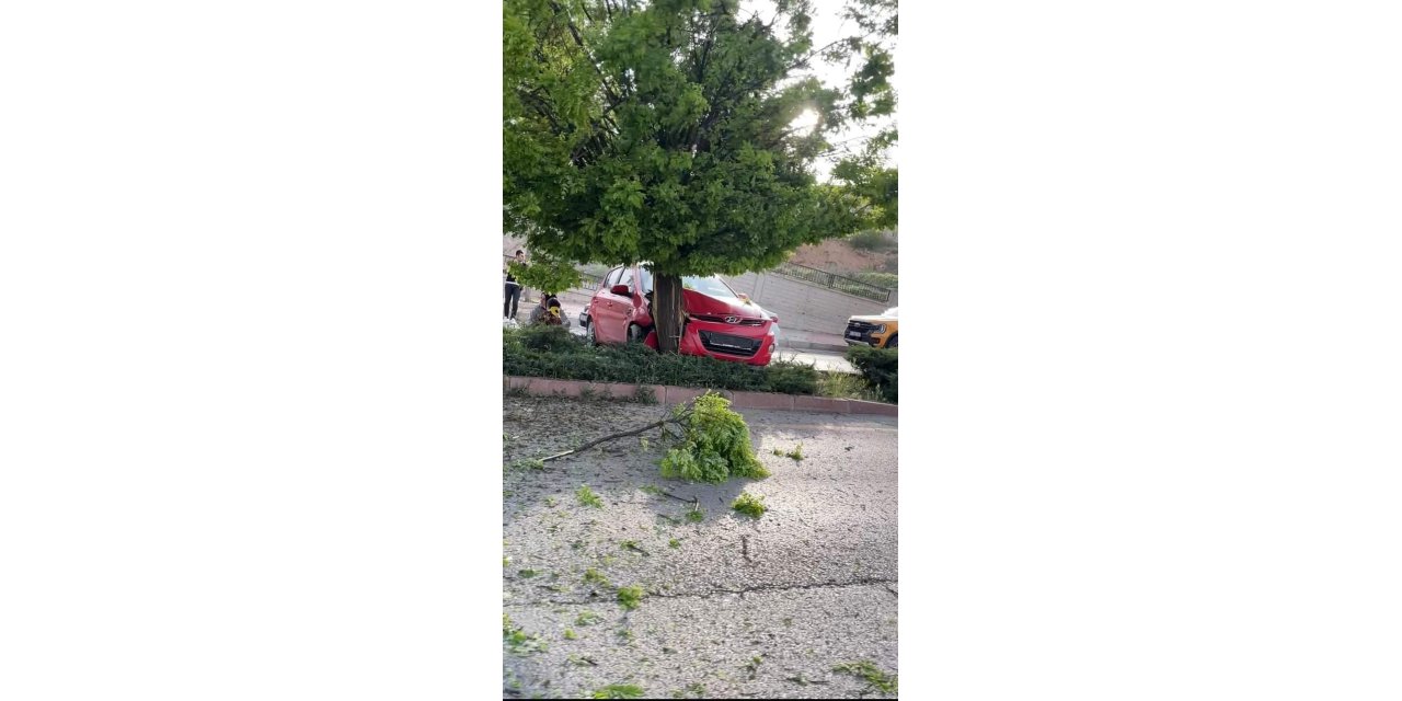 Elazığ’da otomobil ağaca çarptı: 3 yaralı