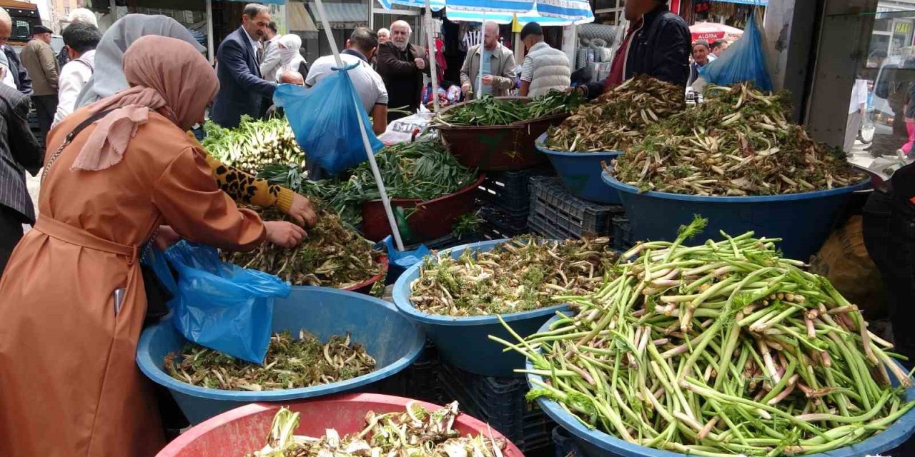 Sofraların vazgeçilmesi otlu peynire tat veren bitkilere büyük ilgi