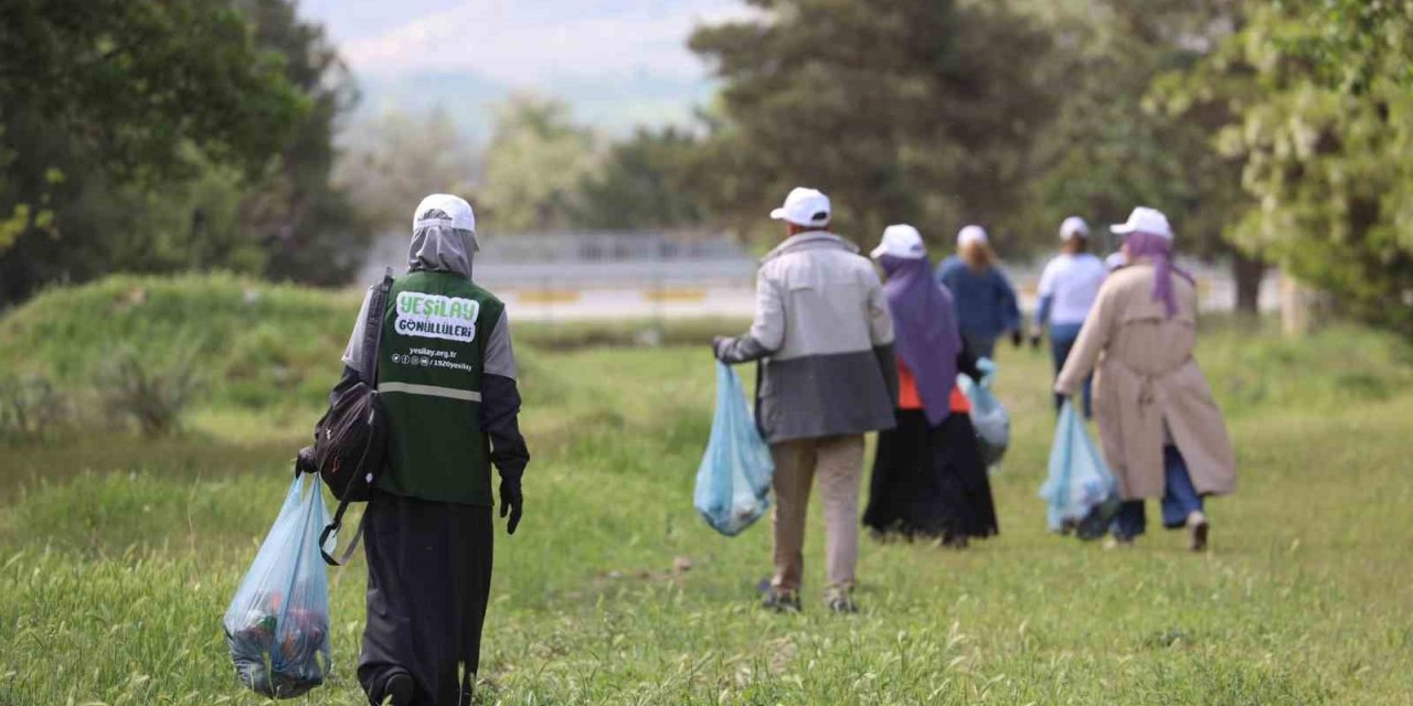 Yangına karşı ormanları temizlediler