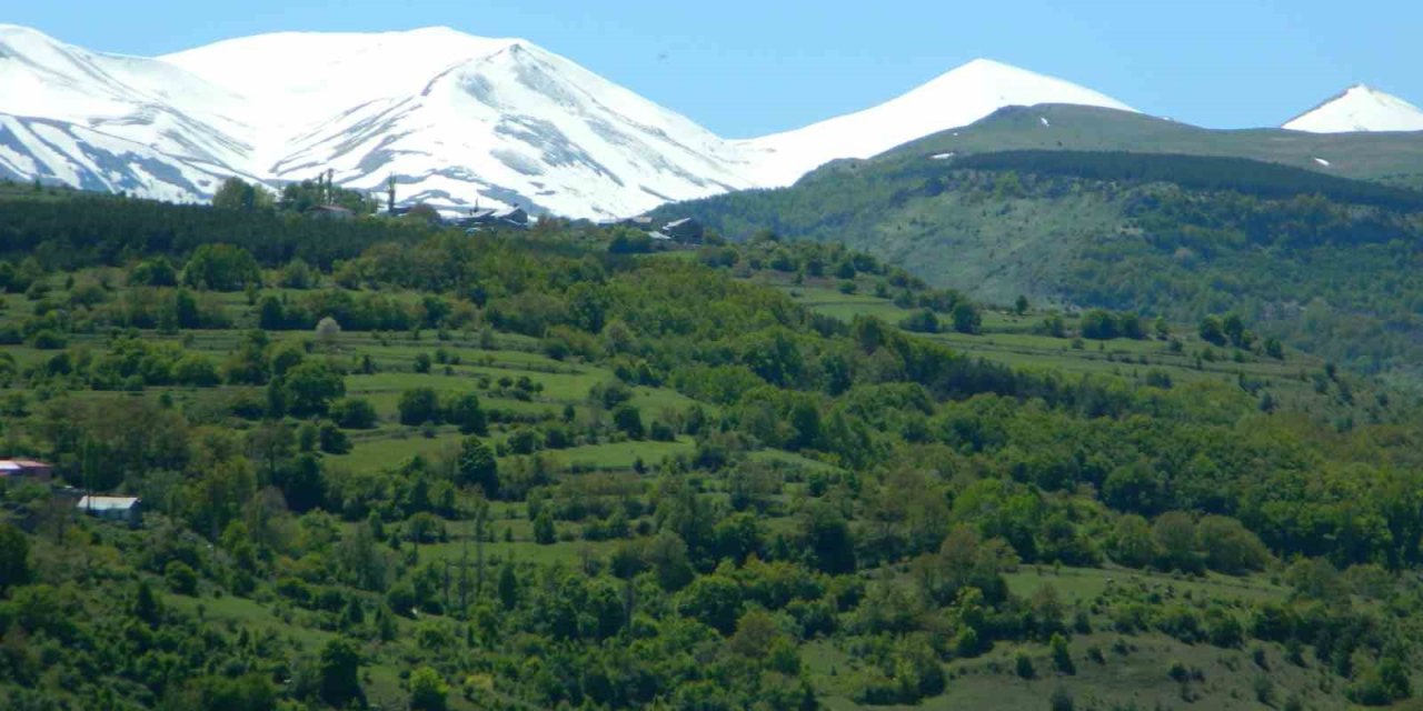 Posof’ta bahar görsel şölene dönüştü