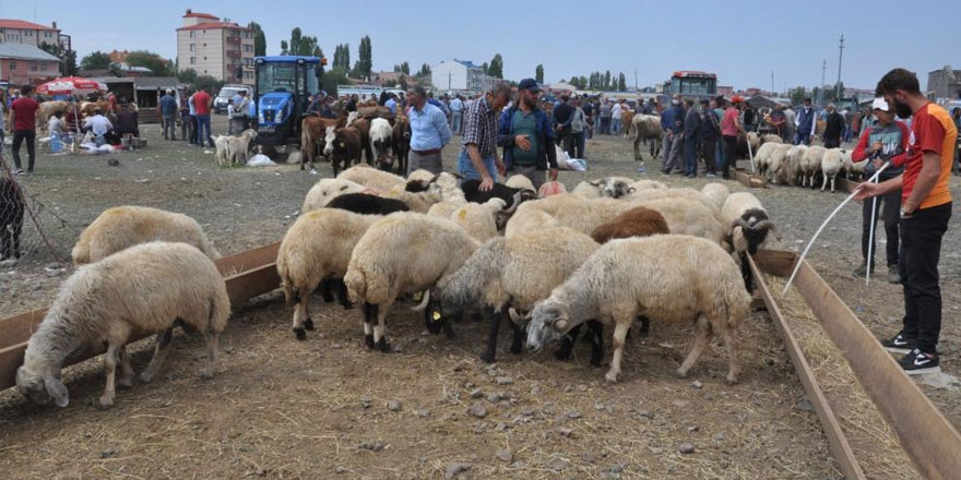 Vekalet yoluyla kurban kesim bedelleri açıklandı