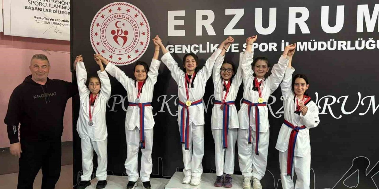 İspirli sporcular bölge Taekwondo müsabakalarına damga vurdu