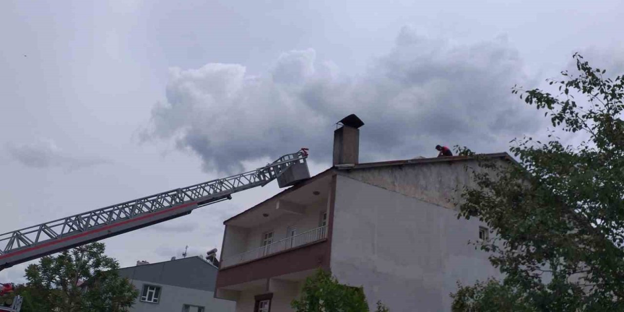 Cami kubbesindeki leylek yuvası, yıkım nedeniyle taşındı