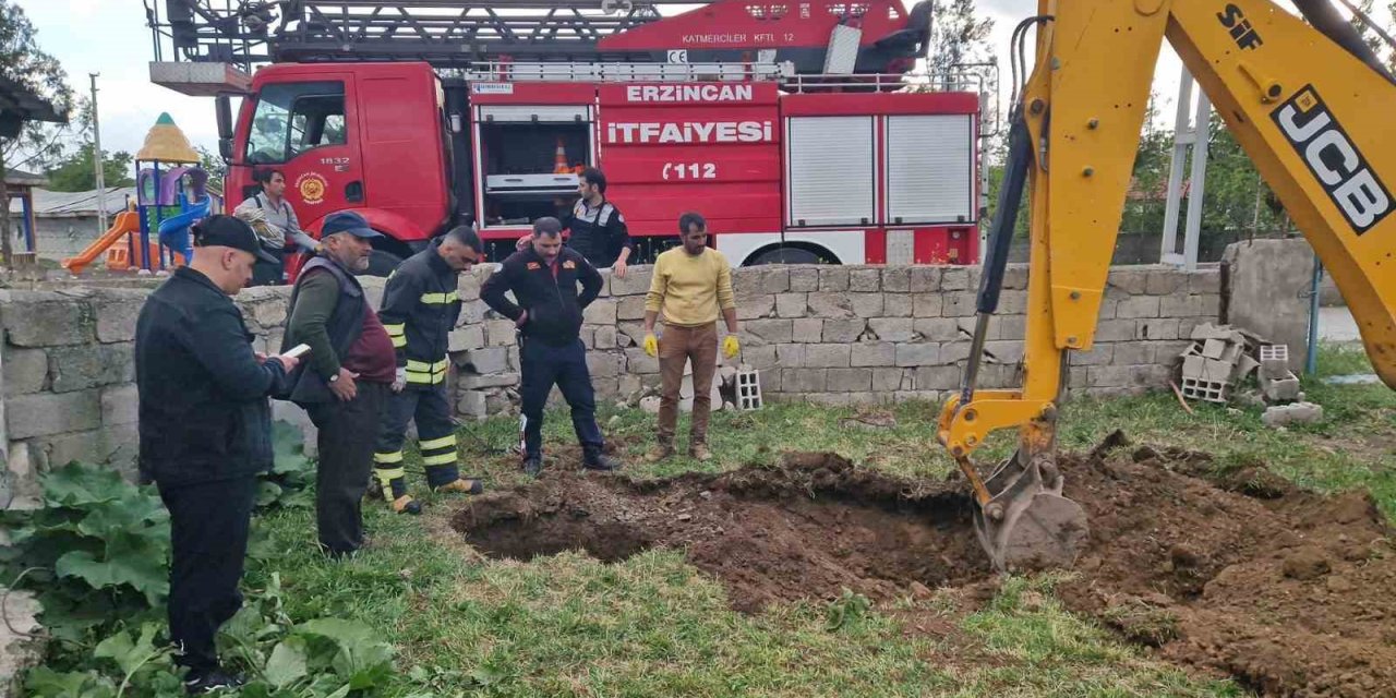 Kuyuya düşen inek kurtarıldı