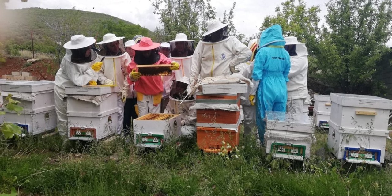 Erzincan’da kadınlar arı sütü üretecek