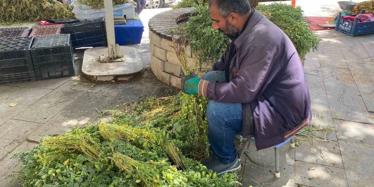 Elazığ’da yeşil nohut tezgahlardaki yerini aldı