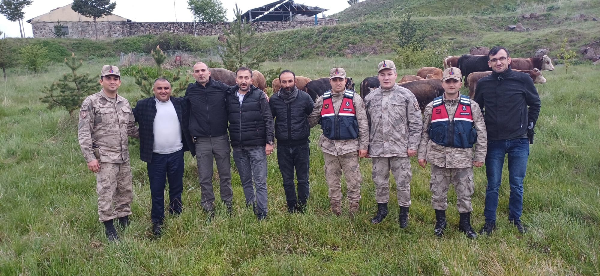 Kars'ta çalınan büyükbaş hayvanlar Ardahan’da bulundu: 2 gözaltı