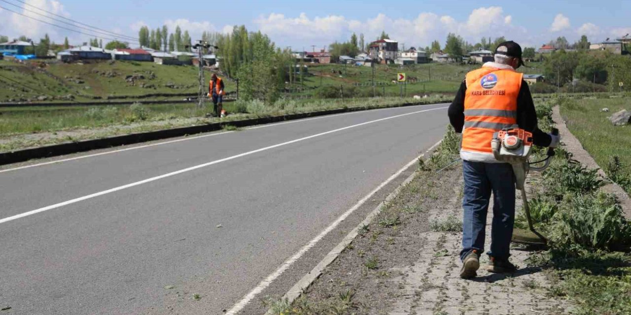 Kars’ta kaldırımlar yabani otlardan temizleniyor