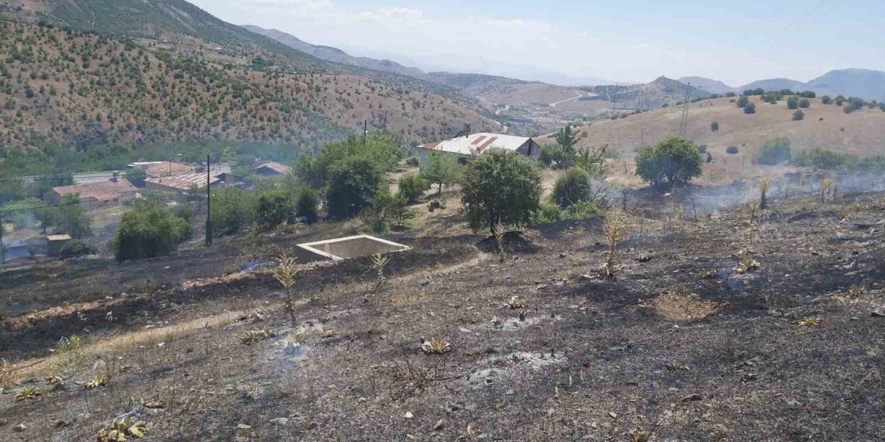 Elazığ’da ot yangını