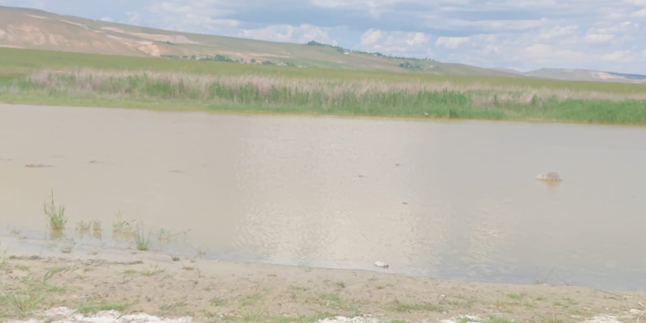 Kuraklık nedeniyle kuruyan göl yeniden doldu