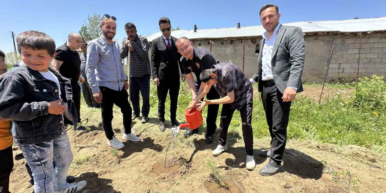 Yüksekova’da polis ve öğrenciler beraber fidan diktiler