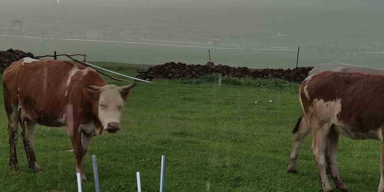 Ceviz büyüklüğünde dolu yağdı, köy beyaza büründü