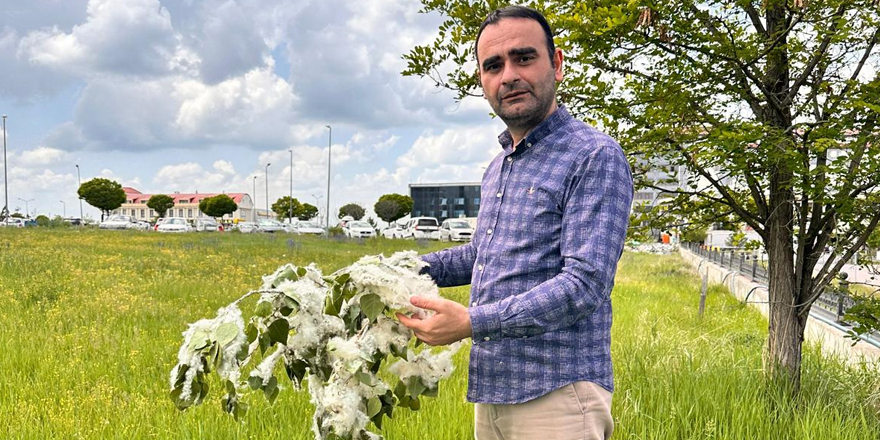 Alerji Hastalarının Korkulu Rüyası; Polenler