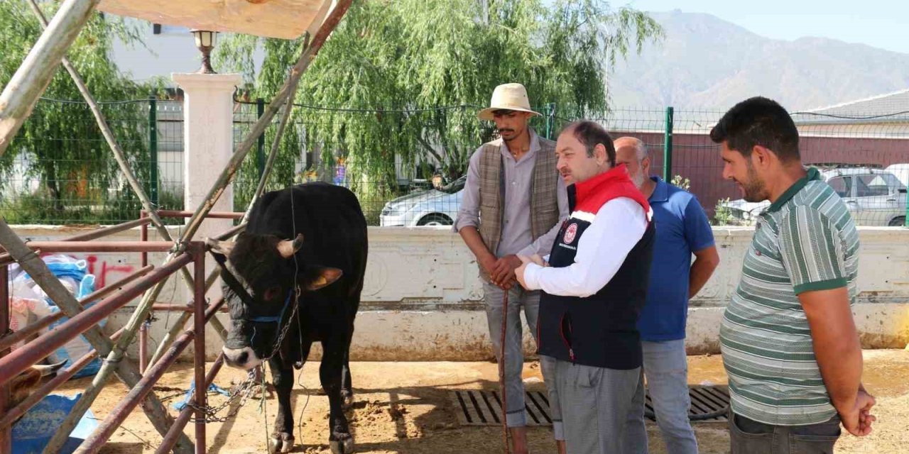 Erzincan Hayvan Pazarında denetimler sürüyor