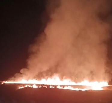 Tunceli’de korkutan yangın: 100 dönümlük ekili alan zarar gördü