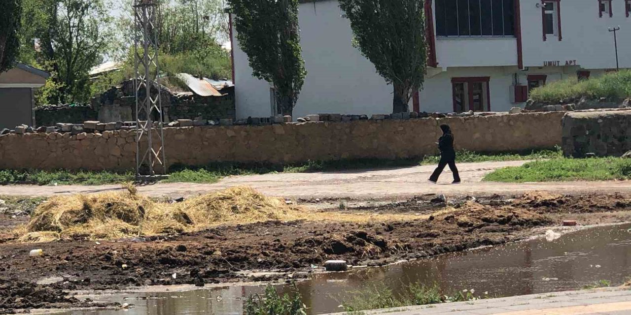 Kars’ta yol kenarına dökülen gübreler insan sağlığını olumsuz etkiliyor