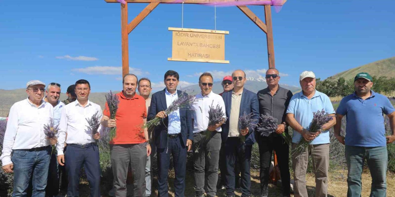 Iğdır Üniversitesi’nde “3. Geleneksel Lavanta Şenliği” coşkusu