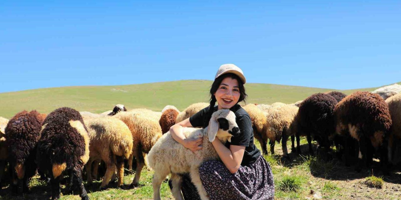 Kahvaltı sofralarına 3 bin rakımdan gelen lezzet: Erzincan tulum peyniri