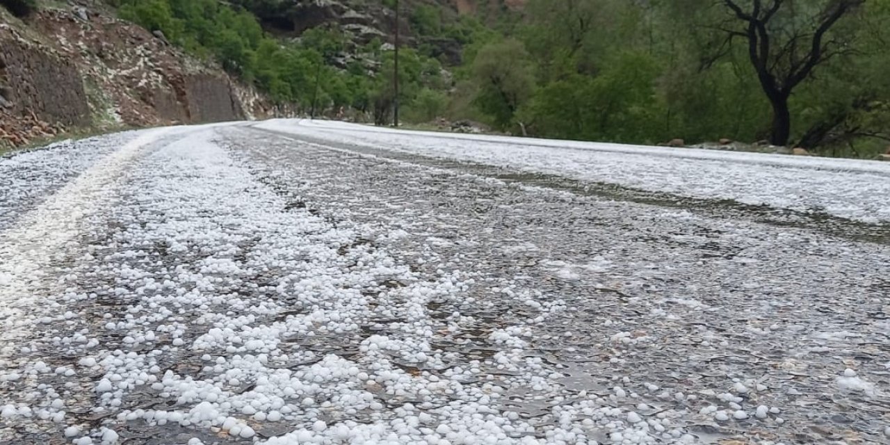 Erzincan’da dolu yağışı etkili oldu