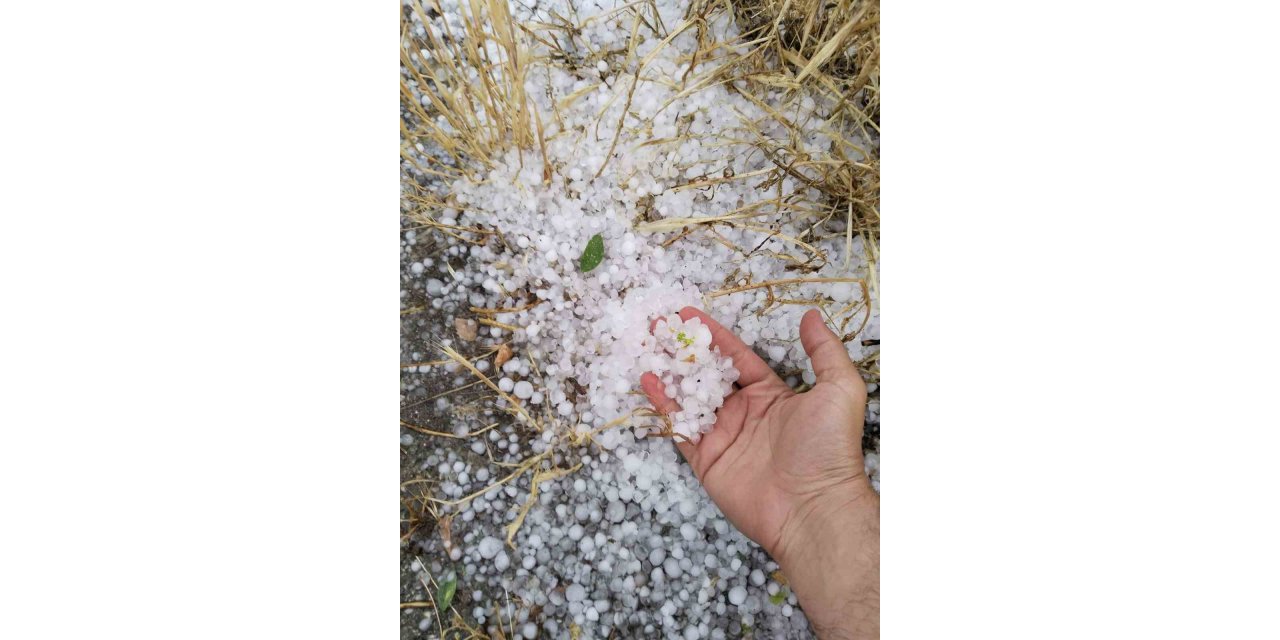 Erzincan’ın Tercan ilçesinde dolu etkili oldu