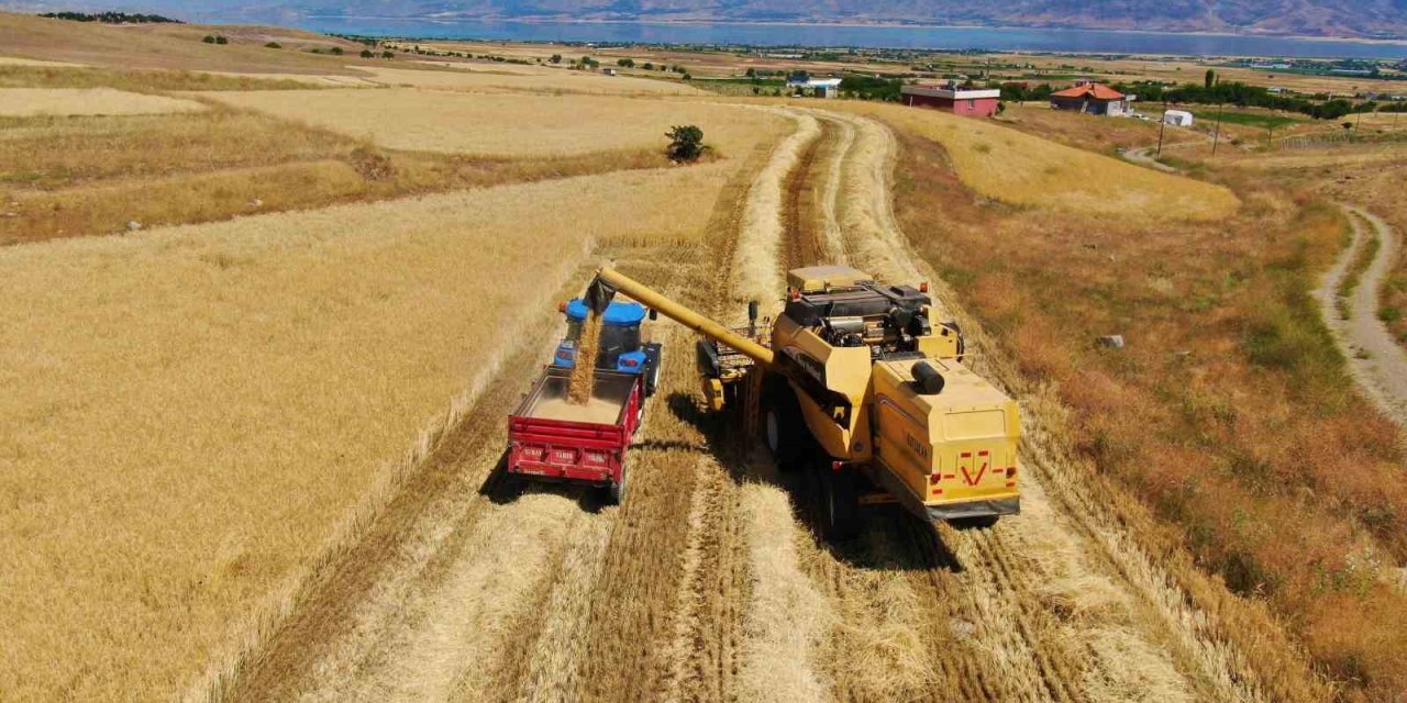 Elazığ’da 900 bin dekar alanda hasat yapılması bekleniyor