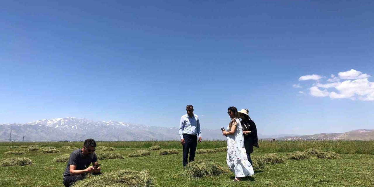 Yüksekova’da yağışlar çiftçilerin yüzünü güldürdü