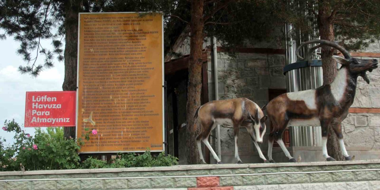 Efsaneleşen ve balıkların kutsal sayıldığı sudan, şifa bulmak için içiyorlar