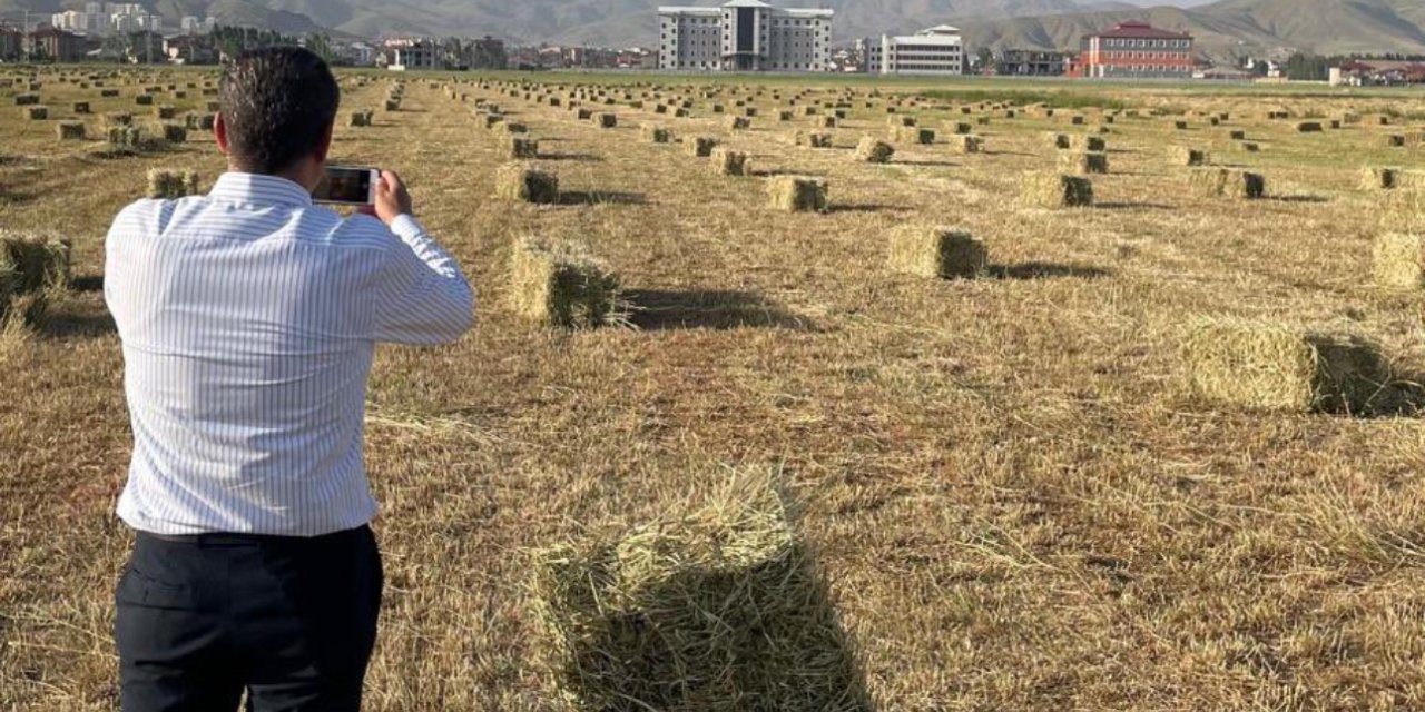 Yüksekova’da yağışlar tarımda verimliliği artırdı