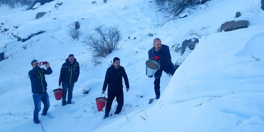 Kars’ta yaban hayvanları için doğaya yem bırakıldı