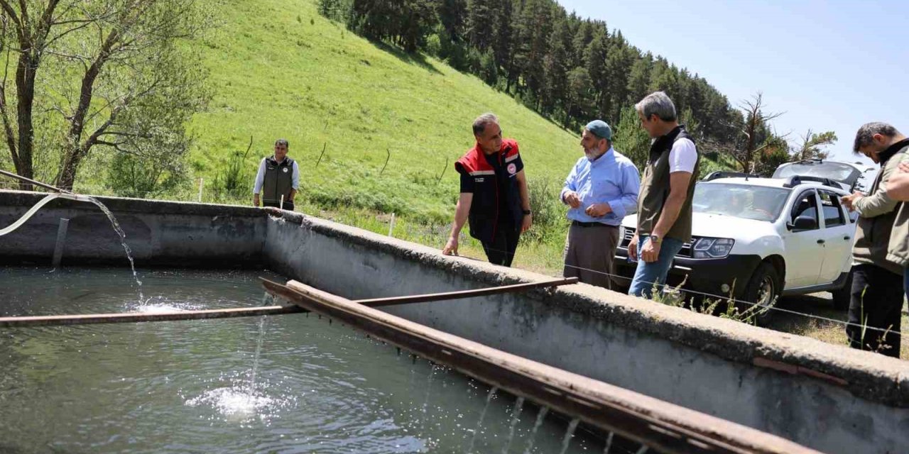 Sarıkamış’ta bir kişi alabalık yetiştiriciliği yapıyor