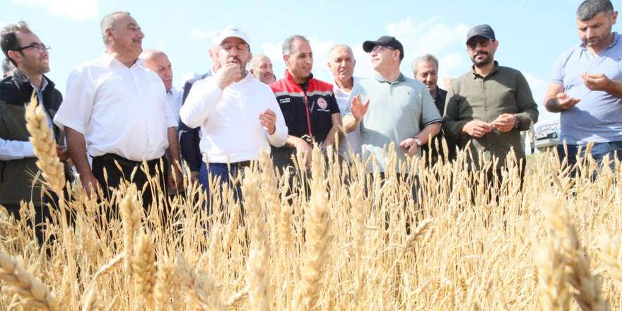 Kars’ta yüzde 50 hibeyle dağıtılan tohumlar tarlalara ekildi