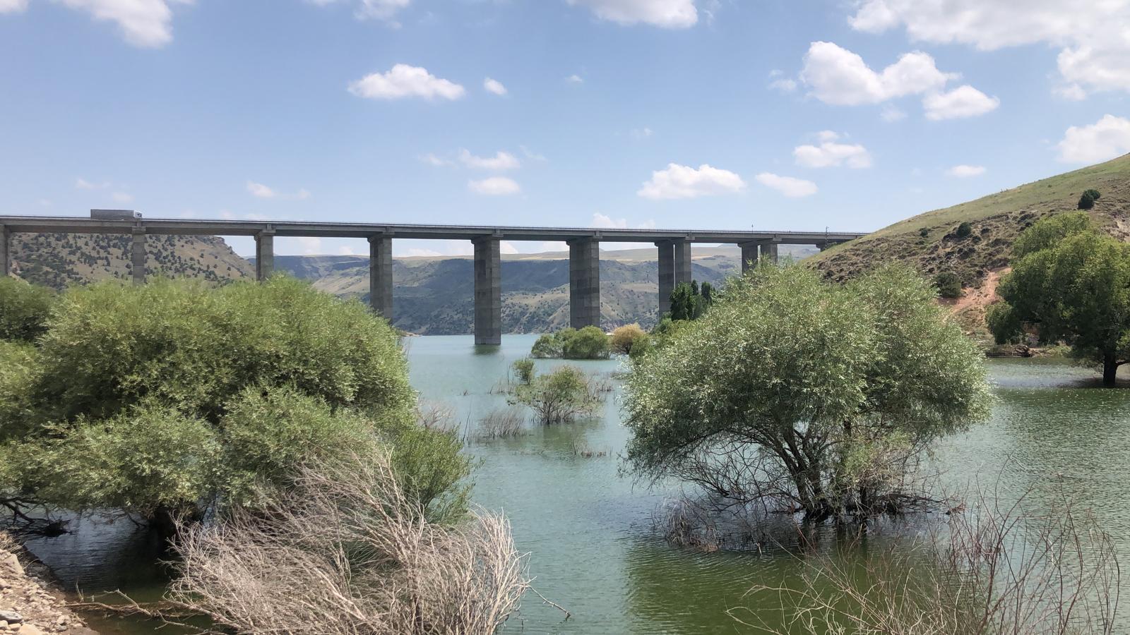 Karakurt Barajında su çekildi, ağaçlar ortaya çıktı