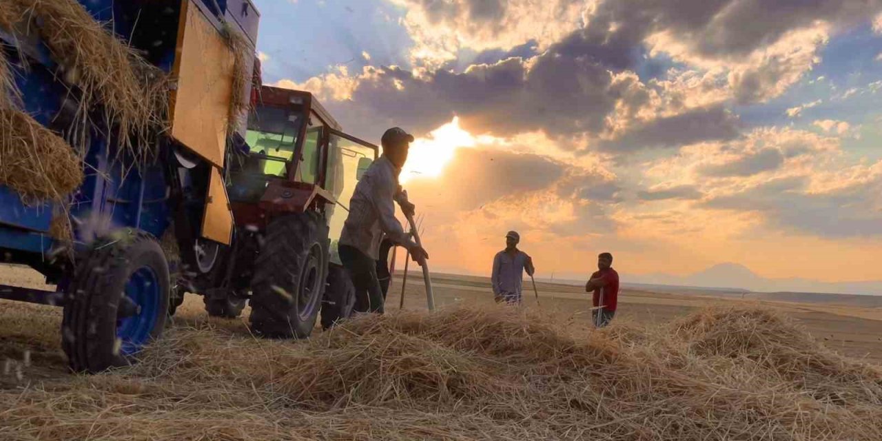 Ağrı’da çiftçiler sıcak havada hasada devam ediyor